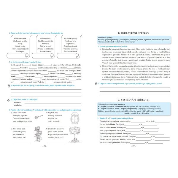 Procvičujeme češtinu v 7. ročníku - pracovní sešit, Čtení s porozuměním