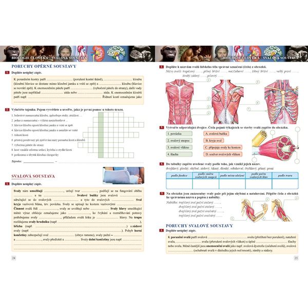 Přírodopis 8 - Savci a člověk - pracovní sešit, Čtení s porozuměním