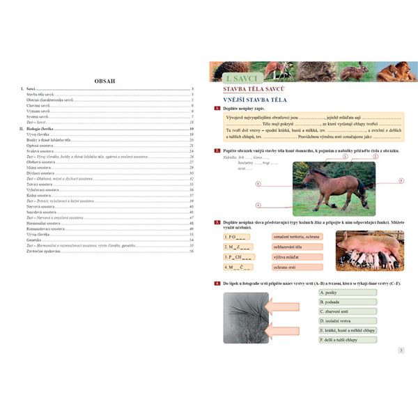 Přírodopis 8 - Savci a člověk - pracovní sešit, Čtení s porozuměním