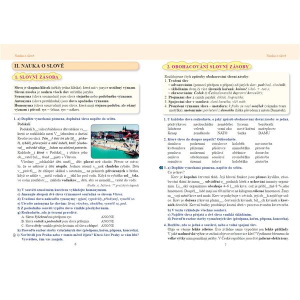 Český jazyk 8 – učebnice, Čtení s porozuměním