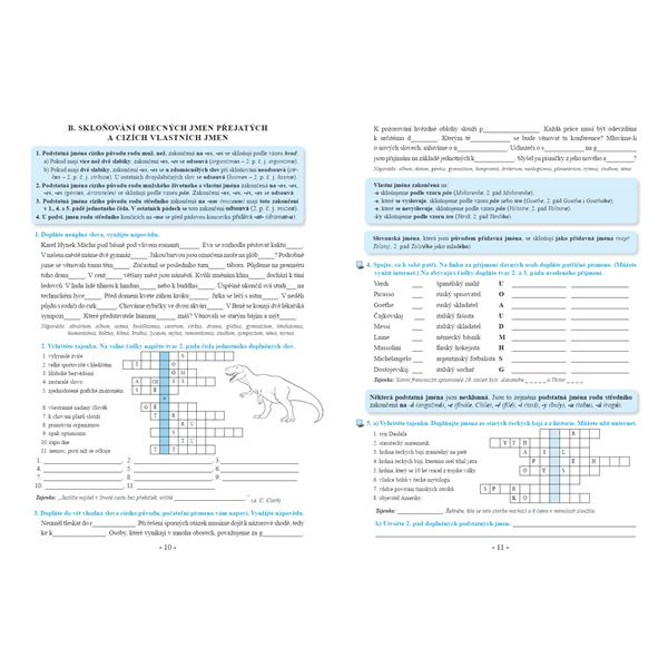 Procvičujeme češtinu v 8. ročníku - pracovní sešit, Čtení s porozuměním