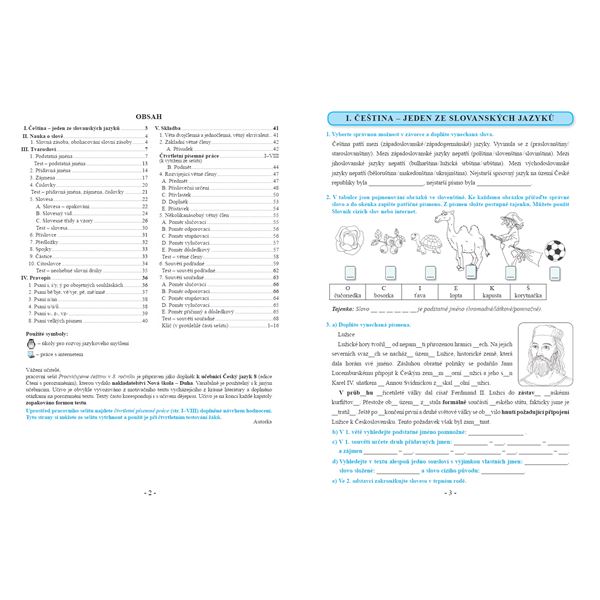 Procvičujeme češtinu v 8. ročníku - pracovní sešit, Čtení s porozuměním