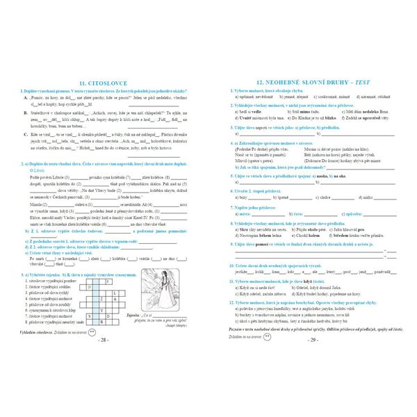 Procvičujeme češtinu v 8. ročníku - pracovní sešit, Čtení s porozuměním
