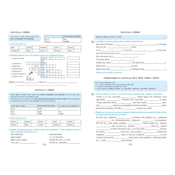 Procvičujeme češtinu v 8. ročníku - pracovní sešit, Čtení s porozuměním