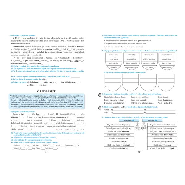 Procvičujeme češtinu v 8. ročníku - pracovní sešit, Čtení s porozuměním