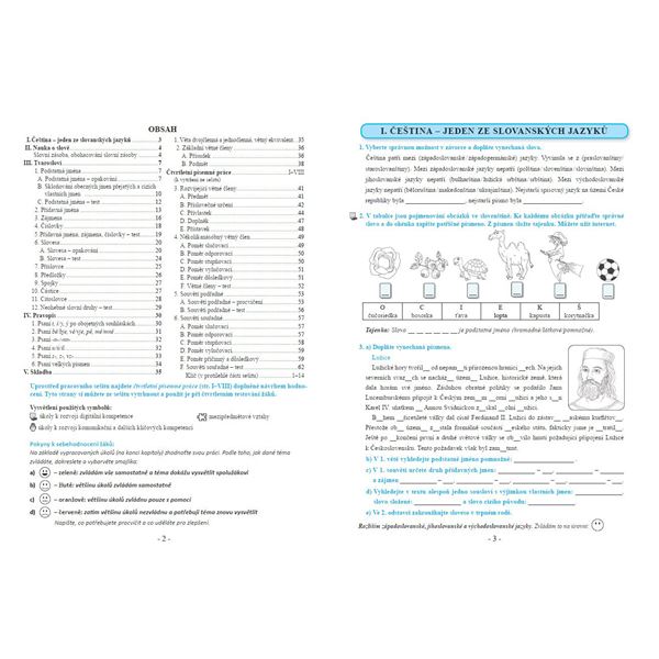 Procvičujeme češtinu v 8. ročníku - pracovní sešit, Čtení s porozuměním