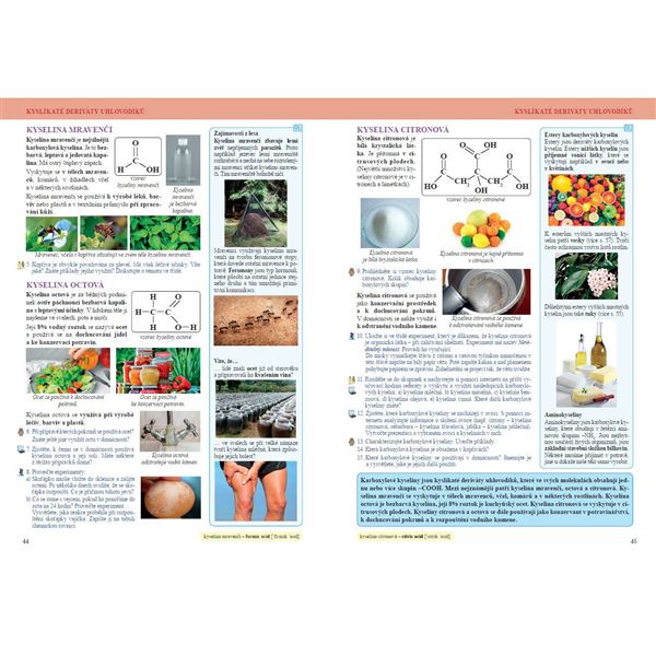 Chemie 9 - Úvod do organické chemie, biochemie a dalších chemických oborů, Čtení s porozuměním - učebnice