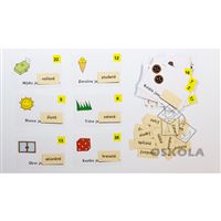 Doplňování vět - přídavná jména