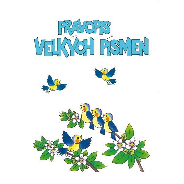 Pravopis velkých písmen - procvičovací sešit pro 6.ročník ZŠ