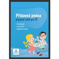 Přídavná jména - Pracovní sešit