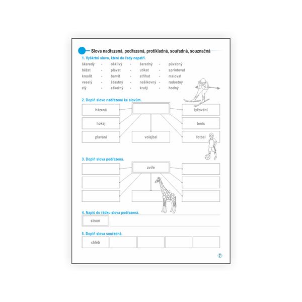 Český jazyk 2 - pracovní učebnice