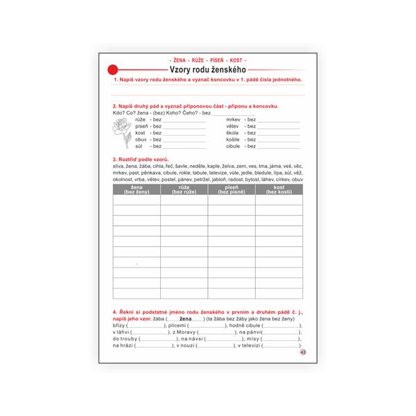 Český jazyk 4 - pracovní učebnice