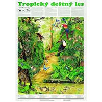 Tropický deštný les - plakát