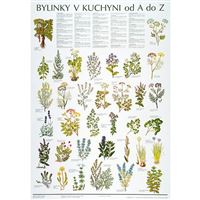 Bylinky v kuchyni od A do Z - plakát