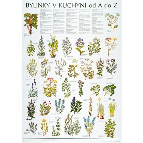 Bylinky v kuchyni od A do Z - plakát