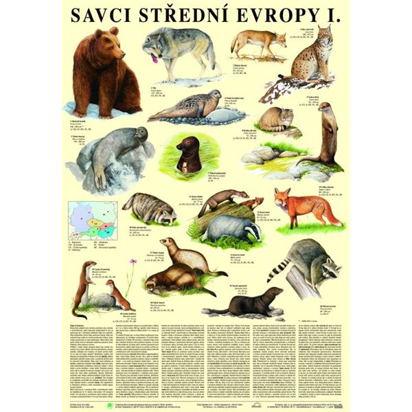 Savci střední Evropy 1 - Šelmy - plakát