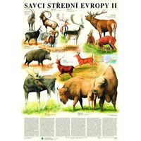 Savci střední Evropy 2 - Sudokopytníci - plakát
