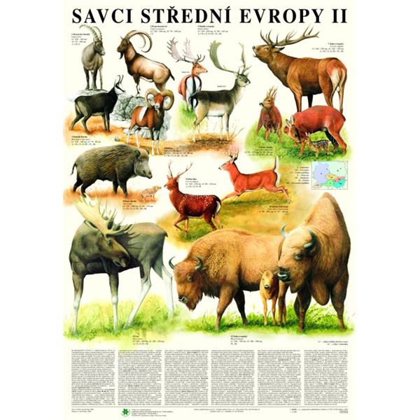 Savci střední Evropy 2 - Sudokopytníci - plakát