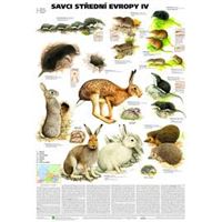 Savci střední Evropy 4 - plakát