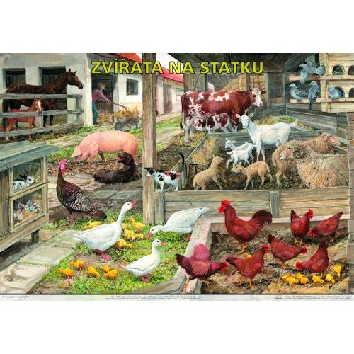 Zvířata na statku - plakát