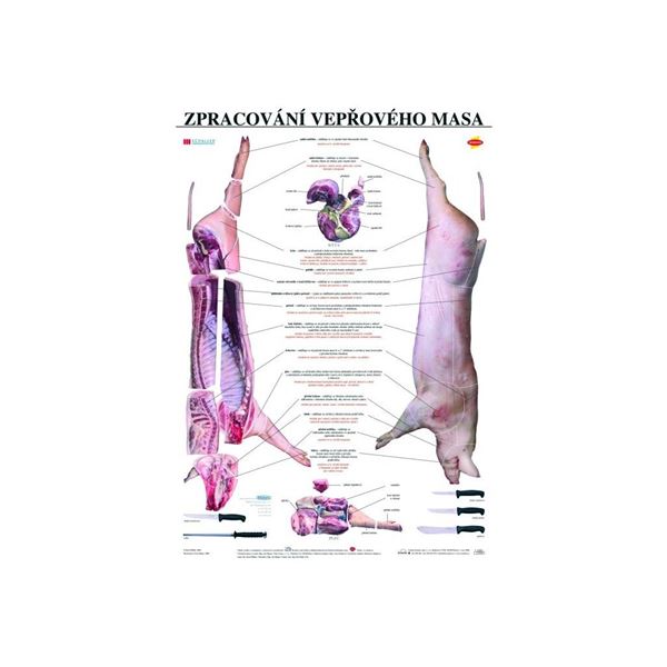 Zpracování vepřového masa - plakát