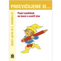 Procvičujeme si psaní souhlásek na konci a uvnitř slov