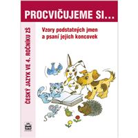 Procvičujeme si vzory a psaní koncovek podstatných jmen