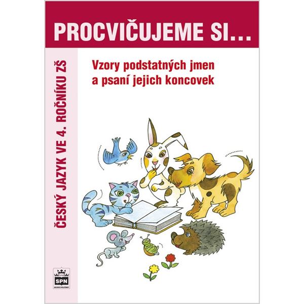 Procvičujeme si vzory a psaní koncovek podstatných jmen
