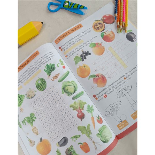 Hravá školní družina 3 - pracovní sešit