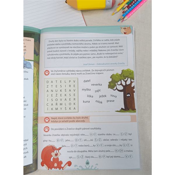Čtení s porozuměním 2 - pracovní sešit