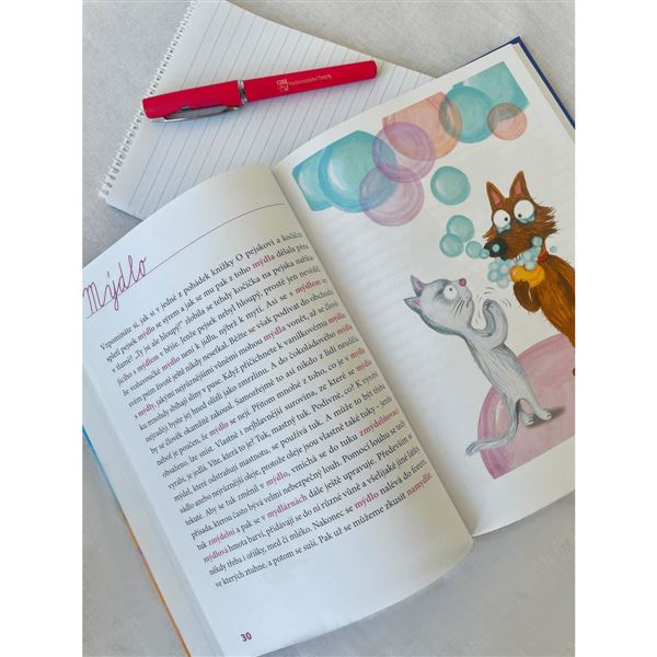 Vyjmenovaná čtení o ledasčem