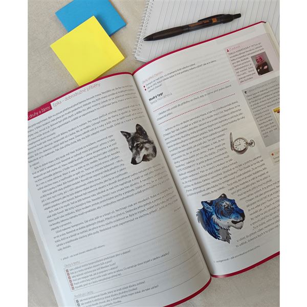 Hravá čítanka 6 - učebnice