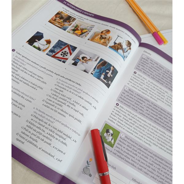 Diktáty, testy a hry pro 9. ročník