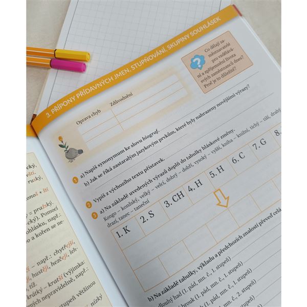 Diktáty, testy a hry pro 9. ročník