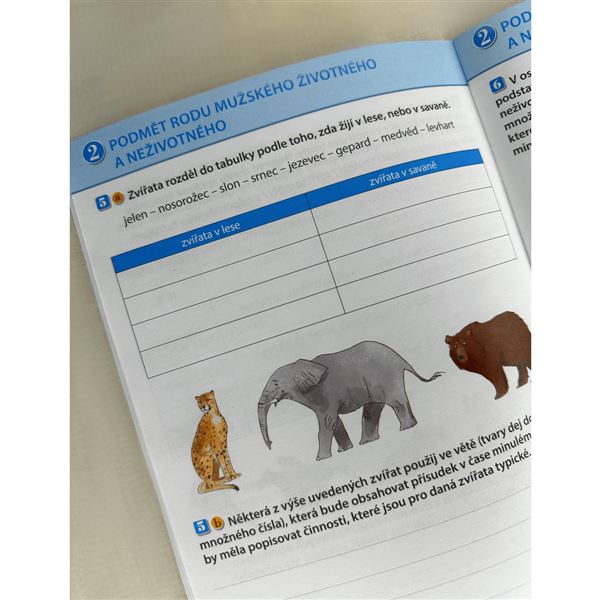 Procvičuji si - shoda přísudku s podmětem