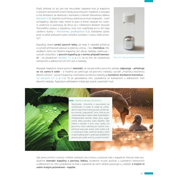 Fyzika s porozuměním - učebnice pro gymnázia - 2. díl