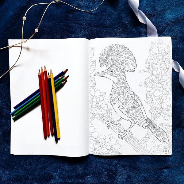 Keep calm & draw - animals