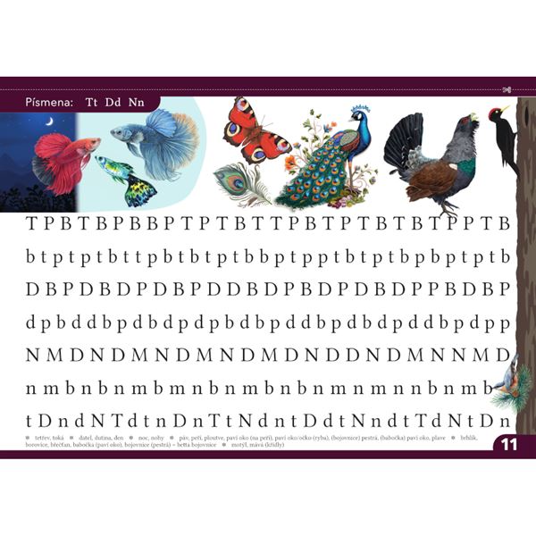 Sémantické čtení a fonematické čtení 3