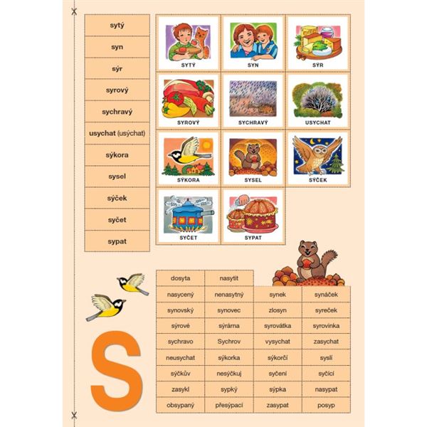 Kartičky - pro nácvik vyjmenovaných a s nimi příbuzných slov