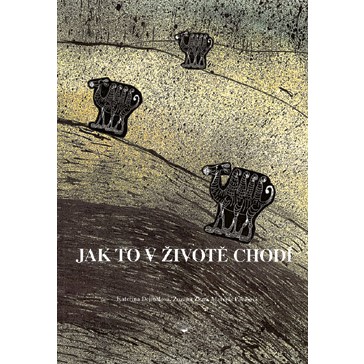 Jak to v životě chodí