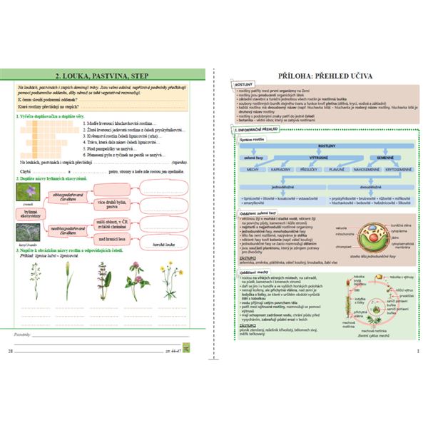 Přírodopis 7/2 - Botanika - pracovní sešit (barevný)
