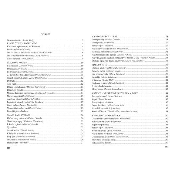 Čítanka 2, Čtení s porozuměním