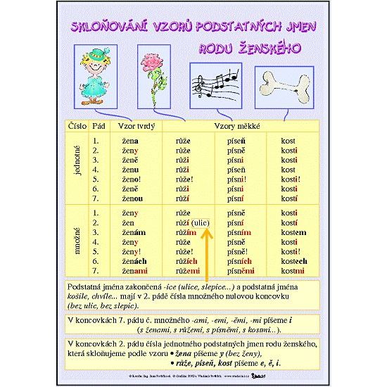 Skloňování vzorů podstatných jmen rodu ženského - obraz 70x100 cm